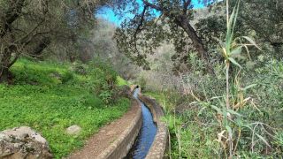 2024-01-GranCan-Barranco_de_los_Cernicalos-021.jpg